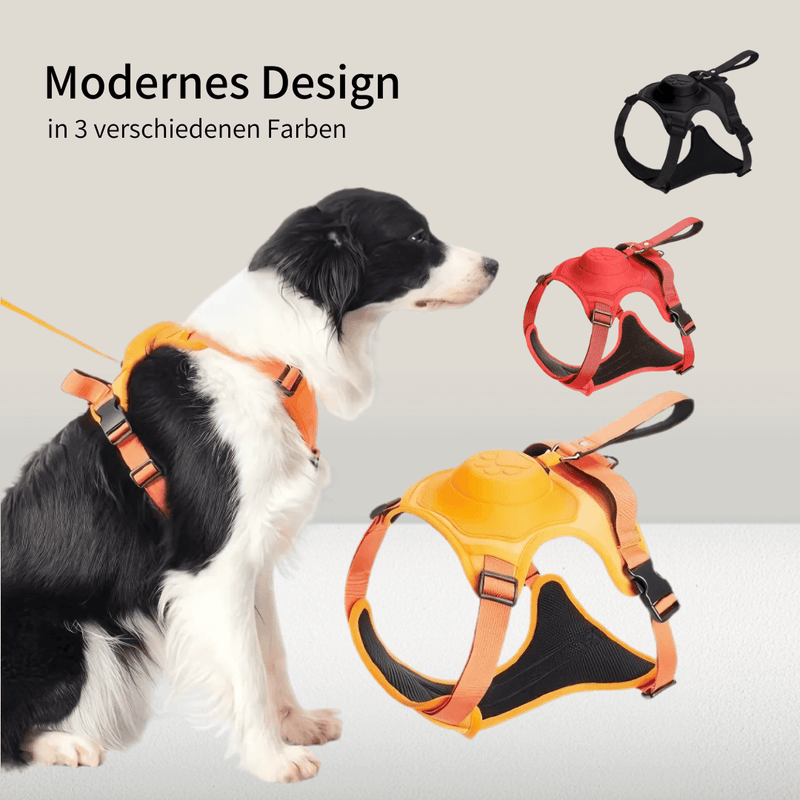 Cennla Canis Comfort - Premium Hundegeschirr für Sicherheit + Wohlbefinden