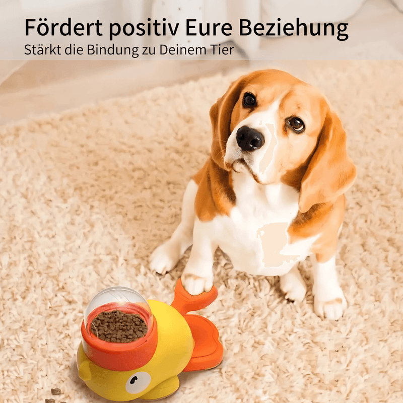BelloMate 2.0 - Interaktiver Futterspender mit Lerneffekt