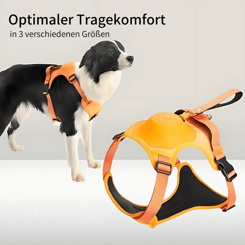 Cennla Canis Comfort - Premium Hundegeschirr für Sicherheit + Wohlbefinden