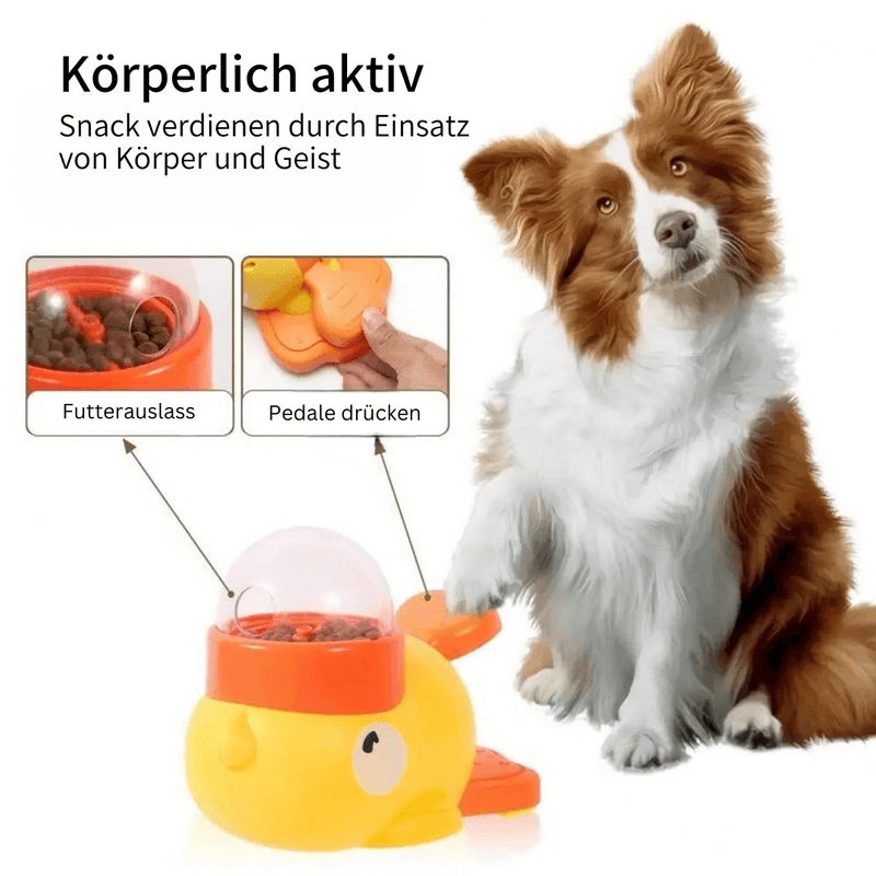 BelloMate 2.0 - Interaktiver Futterspender mit Lerneffekt