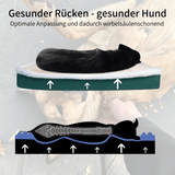 OrthoPet Comfort - Gesunde Wirbelsäule, gesunder Hund!