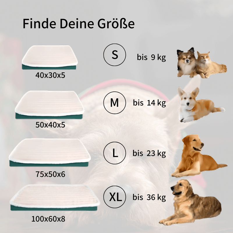 OrthoPet Comfort - Gesunde Wirbelsäule, gesunder Hund!