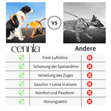 Cennla Canis Comfort - Premium Hundegeschirr für Sicherheit + Wohlbefinden