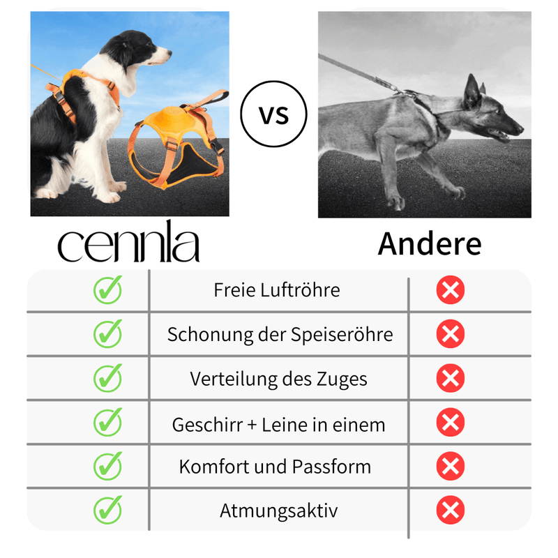 Cennla Canis Comfort - Premium Hundegeschirr für Sicherheit + Wohlbefinden