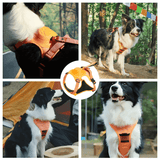 Cennla Canis Comfort - Premium Hundegeschirr für Sicherheit + Wohlbefinden