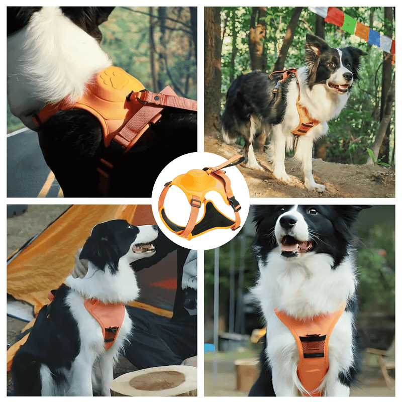 Cennla Canis Comfort - Premium Hundegeschirr für Sicherheit + Wohlbefinden