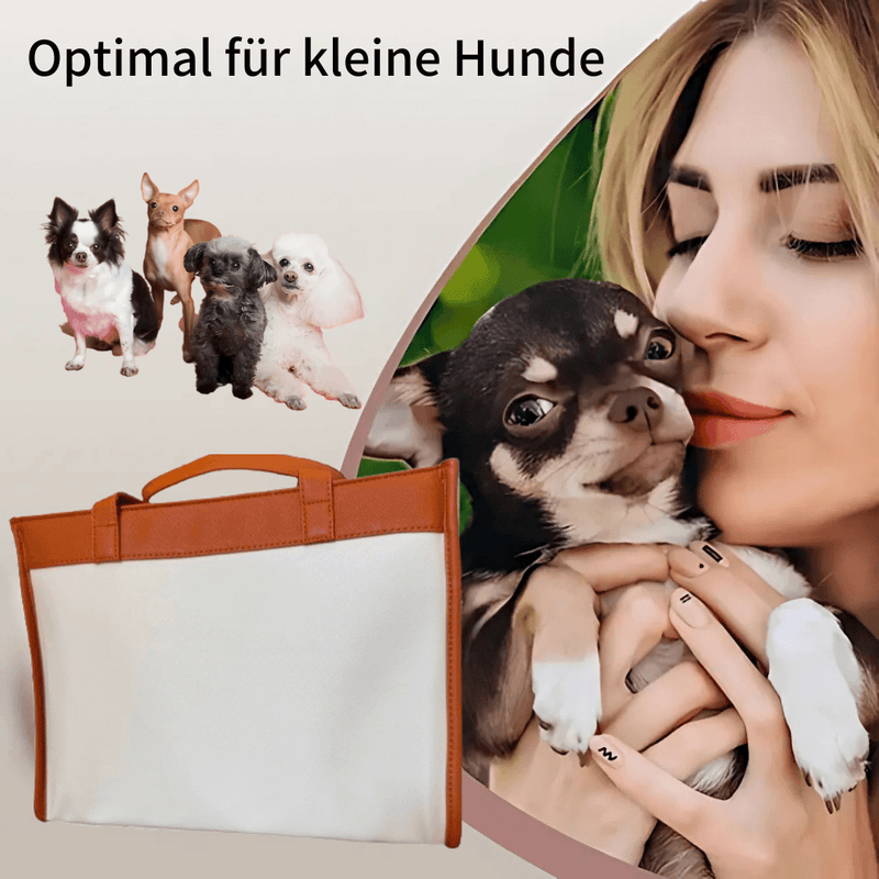 Pet Bag Lindo - Moderne und stilvolle Tagetasche