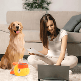 BelloMate 2.0 - Interaktiver Futterspender mit Lerneffekt