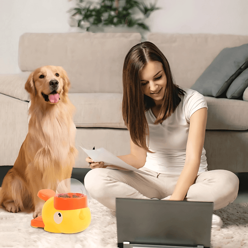 BelloMate 2.0 - Interaktiver Futterspender mit Lerneffekt