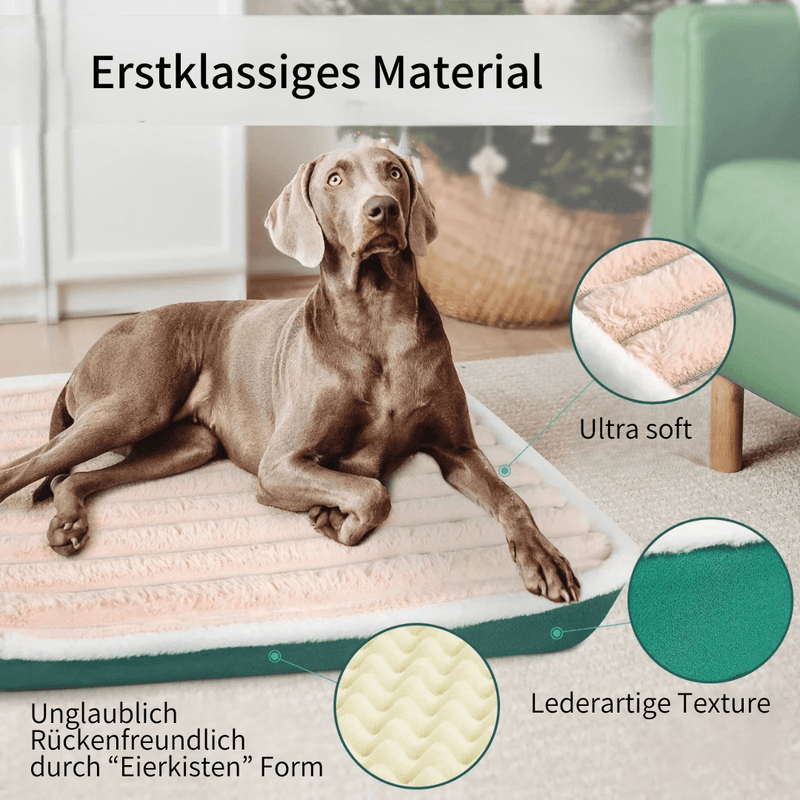 OrthoPet Comfort - Gesunde Wirbelsäule, gesunder Hund!
