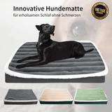 OrthoPet Comfort - Gesunde Wirbelsäule, gesunder Hund!