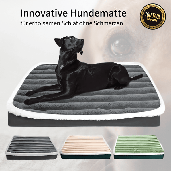 OrthoPet Comfort - Gesunde Wirbelsäule, gesunder Hund!