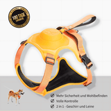 Cennla Canis Comfort - Premium Hundegeschirr für Sicherheit + Wohlbefinden