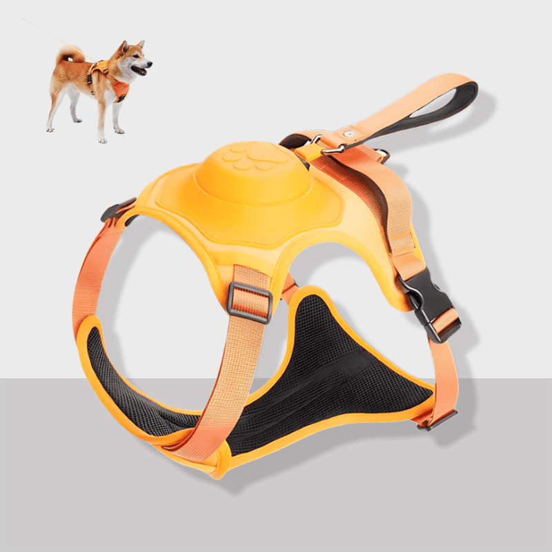 Cennla Canis Comfort - Premium Hundegeschirr für Sicherheit + Wohlbefinden