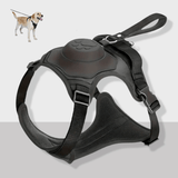 Cennla Canis Comfort - Premium Hundegeschirr für Sicherheit + Wohlbefinden