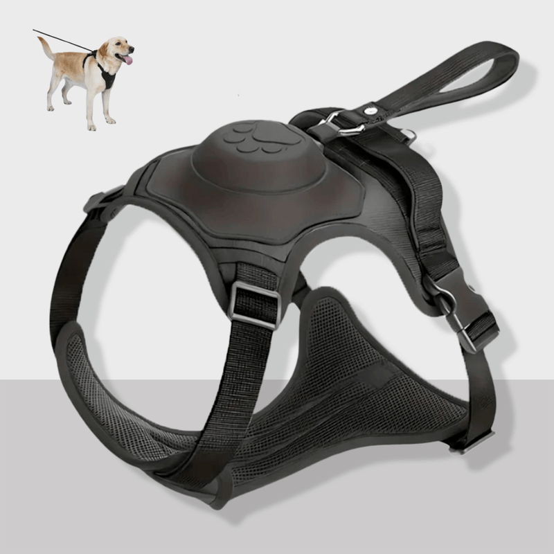 Cennla Canis Comfort - Premium Hundegeschirr für Sicherheit + Wohlbefinden