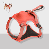 Cennla Canis Comfort - Premium Hundegeschirr für Sicherheit + Wohlbefinden
